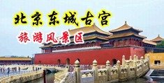 欧美美女爱操逼中国北京-东城古宫旅游风景区